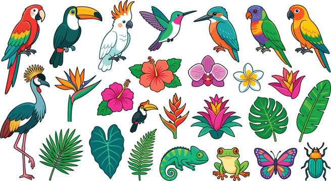 Tropical birds and exotic flora vector set with parrot toucan cockatoo hummingbird crane flowers leaves and wildlife collection