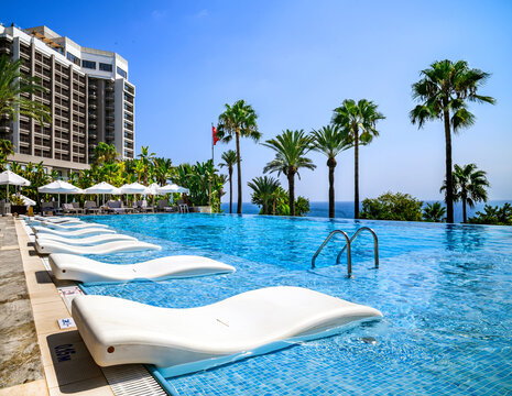 Luxurious Infinity Pool with loungers surrounded by palms and ocean view