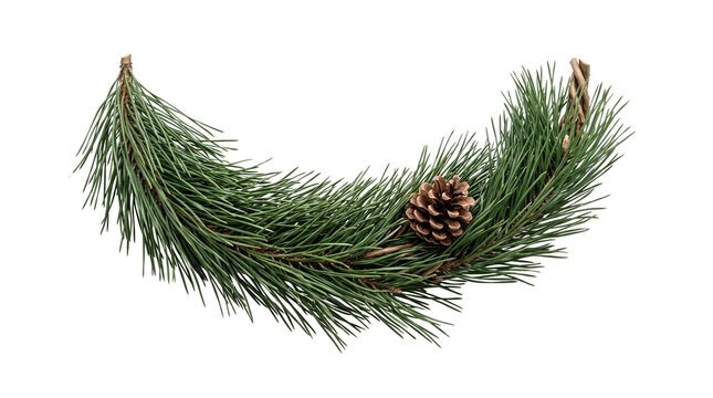 Evergreen pine branch garland with natural pinecone, rustic winter spruce bough for Christmas decor, festive coniferous foliage border isolated PNG with Transparent Background