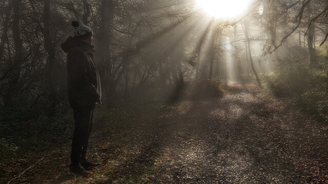 Man standing on a misty forest path surrounded by trees while sunbeams filter through the canopy during a peaceful morning hike