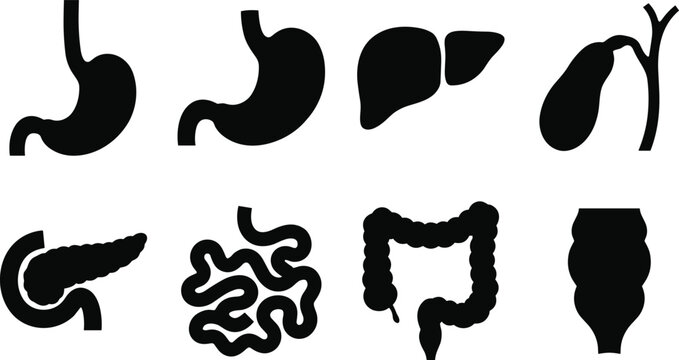 Human Digestive System Silhouette Icon Collection Featuring Stomach, Liver, Intestines, and Pancreas