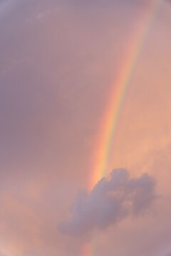 Vibrant rainbow appearing in soft pink sunset sky vertical