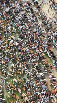 Aerial view of bustling cattle market with dense crowds of people and livestock in rural fields.