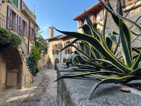 old street in Malcesine