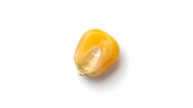A high-quality macro photograph of a single yellow corn kernel isolated on a clean white background for food design.