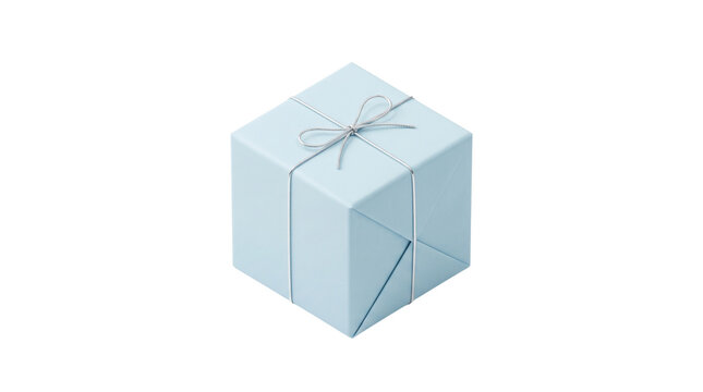 Light blue wrapped gift box bow.