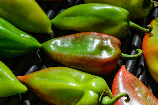 fresh green peppers
