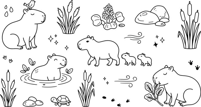 Capybara family wild animals vector doodles set with cute capybaras swimming walking eating leaves and swamp habitat elements