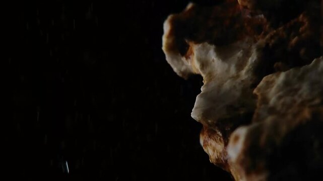 Macro wet coral rock edge with rain drops and copy space BMA Visuals Horizontal Video