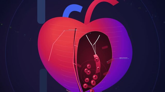 Left ventricular assist device animation illustrating continuous blood flow, magnetic levitation pump mechanics, and pulseless hemodynamics in a heart failure patient