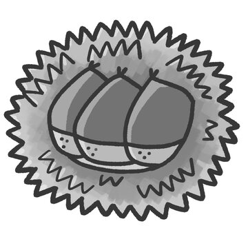 イガに入った栗のイラスト（グレー）