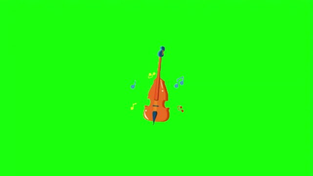 Double bass or cello musical instrument with floating notes vector illustration isolated on green screen.   