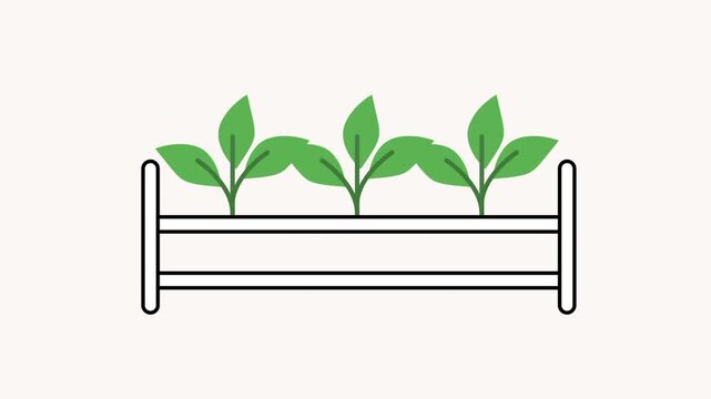 A row of leafy green seedlings growing evenly spaced along a raised rectangular planting bed or tray structure commonly used for plant cultivation