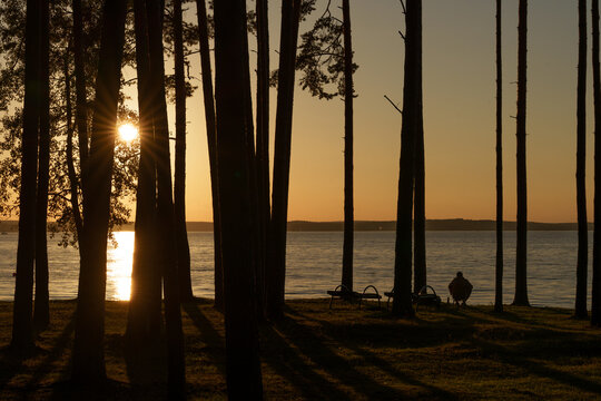 Silhouette of a person watching the sunset on a lake shore in a pine forest. Meditation and solitude concept