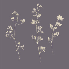Fototapeta premium Botanical wildflower stems imprints set. Light beige ink pressed flora silhouettes on dark dusty purple background, minimalist natural herbarium printmaking illustration.