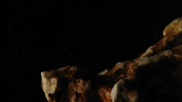 Clear rain drops on macro coral rock texture BMA Visuals Horizontal Video