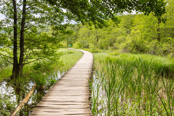 Fototapeta premium Wooden boardwalk paths wind through lush green wetlands in Plitvice Lakes National Park, Croatia