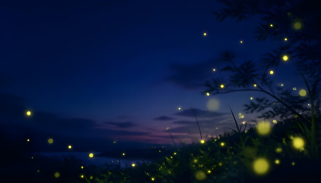 Magical night landscape background with glowing yellow fireflies