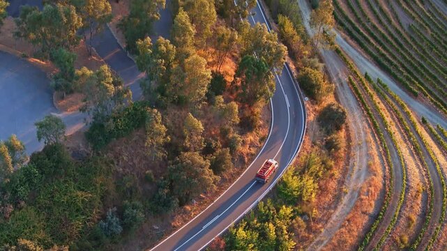 Drone view of road with cars in Douro Valley vineyards, Portugal, with Douro terraces, car traffic, and vineyard road, vineyard plots, houses, passing cars, olive trees. Top down fly over shot