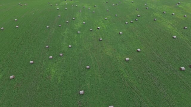Drone flying over a rural landscape with round hay bales scattered across a lush green field representing the agricultural industry and food production concepts