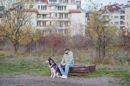 Man sits on bench with husky in wide autumn city landscape, attention held by simple orange toy, reason to go out in any weather. Wide shot. Concept of attention of dog waiting for toy