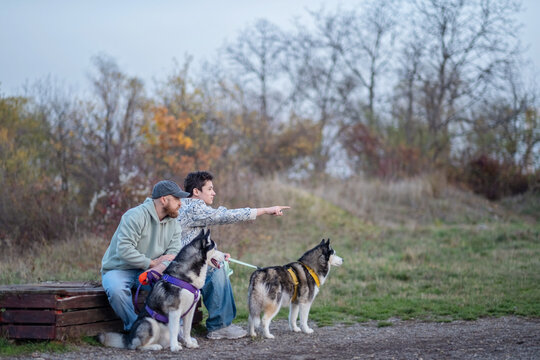 Teenager points arm forward while man holds two husky dogs on leash, handler working with two dogs at once, work that never really ends. Wide shot. Concept of handler showing direction to dogs
