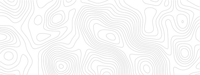 Obraz premium Minimalist topography map pattern with thin gray contour lines on white background topographic map abstract geography