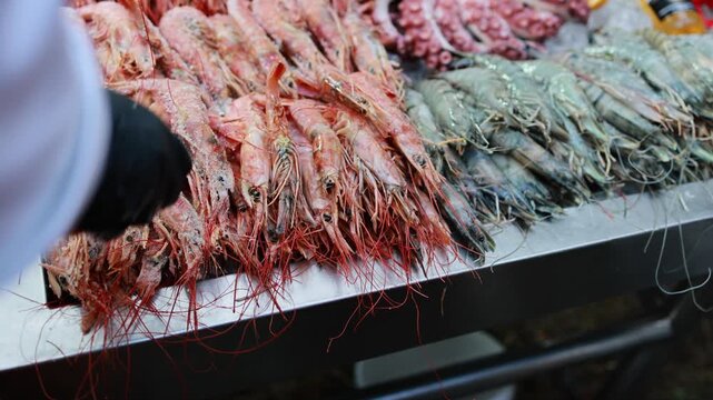 Seller in black glove arranging fresh shrimp and octopus on ice at fish market counter. Seafood display with prawns for sale in market stall. Ocean delicacies and grocery shopping concept.