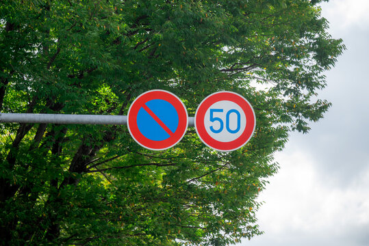 Japanese Road Signs Showing 50 Kilometer Speed Limit and No Parking