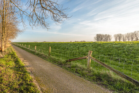 Narrow road along a dike in a Dutch polder