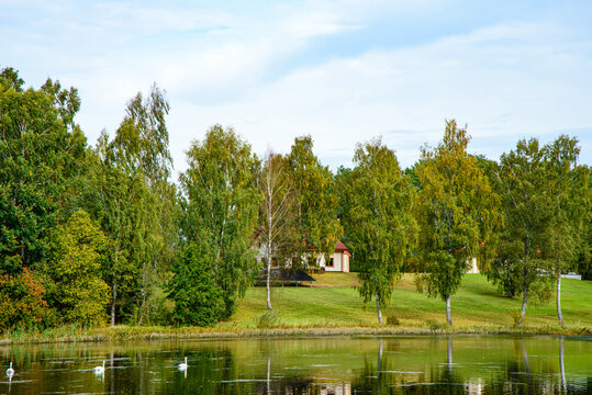 Three swans swim in a calm lake surrounded by autumn trees, a grassy bank, and a house reflected in the water.