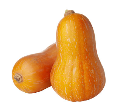 Butternut squash placed on a white background ready for cooking or serving