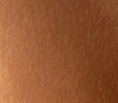 Surface of clean brown color skin