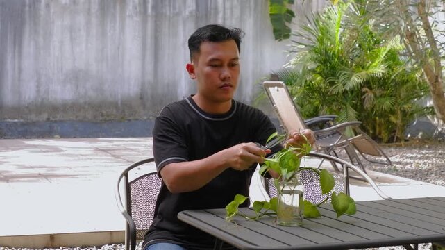 Asian man sitting outdoors propagating green pothos plant stem cuttings into glass water vase at backyard table