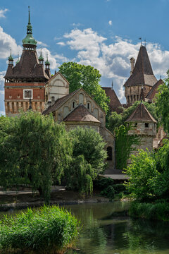 Vajdahunyad Castle towers framed by tall reeds and willow branches beside the lake in City Park Budapest, Hungary