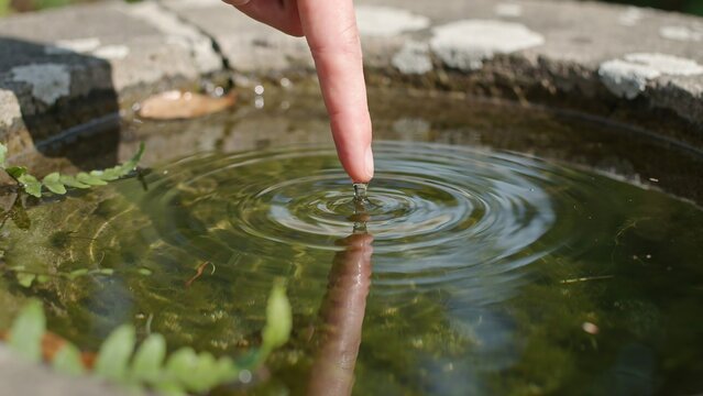 Finger touching water surface in stone bird bath, creating ripples and reflections