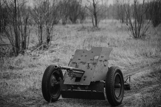 German Anti-tank Gun Pak 36 In Field