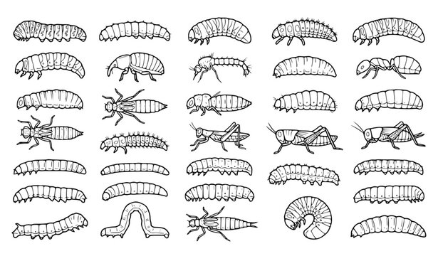 Insect Larva and Caterpillar Collection Vector Line Art Icons