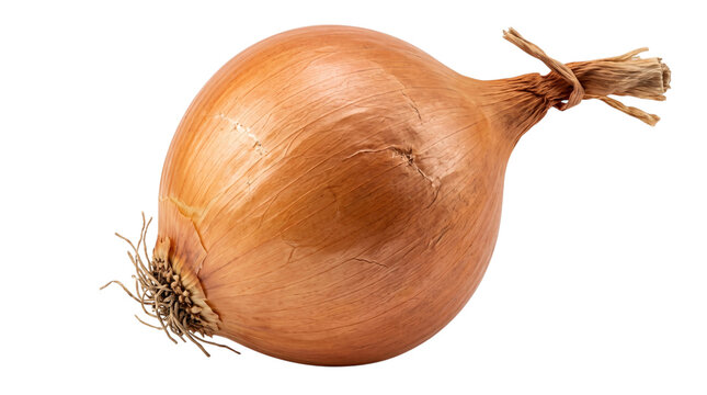 Golden onion with tied stalk on white isolated on transparent background