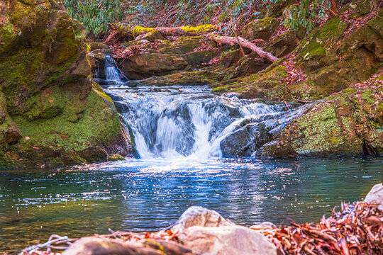 Small cascade meandering down the slope in the Cherokee NF in Tennessee, USA.