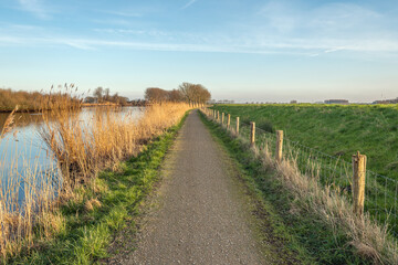 Fototapeta premium Narrow road along a dike in a Dutch polder. At the foot of the dike is a fence made of wooden posts and wire mesh. The photo was taken on a slightly cloudy day at the end of the winter season.
