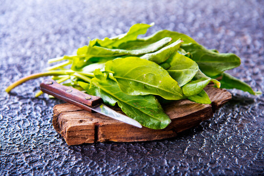 Sorrel. Bunch of fresh green organic sorrel leaf on a table