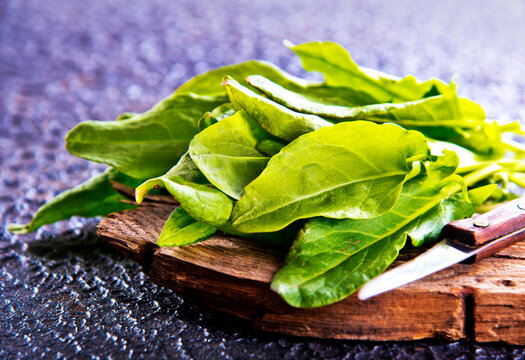 Sorrel. Bunch of fresh green organic sorrel leaf on a table
