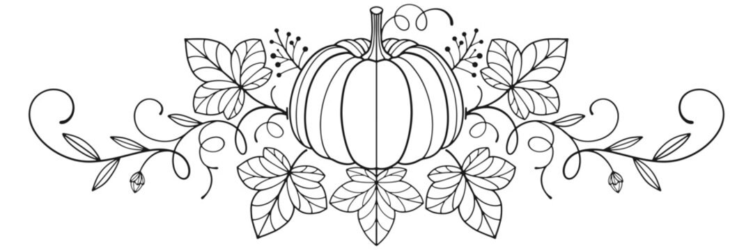pumpkins line art style. halloween and thanksgiving elements vector eps