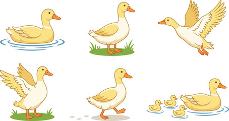 Obraz premium Cartoon yellow ducks swimming, walking, and flying, illustrations with ducklings in water