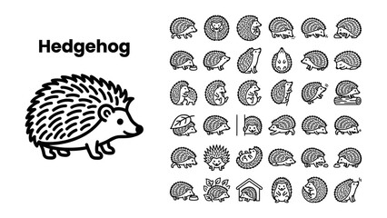 Obraz premium Hedgehog Icon Collection: A collection of diverse hedgehog illustrations, showcasing various poses and expressions of this spiky mammal in a graphic resource format.