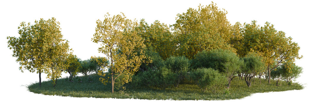 Handroanthus ochraceus, Justicia carnea and Plinia caul tree shrub, plant bush, cutout, isolate transparent background