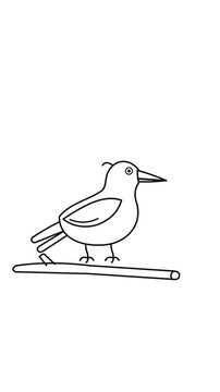 Minimalist bird line art animation of a small bird perched on a branch.