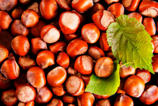 Close up view of hazelnuts on a table
