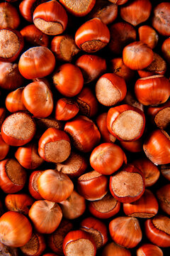 Close up view of hazelnuts on a table